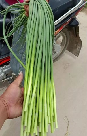 第659页