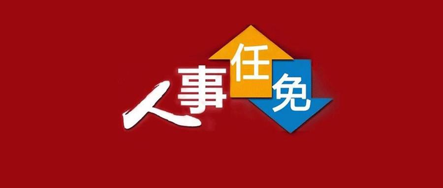 石家庄人事任免最新动态，变化带来自信，学习铸就未来发展之路