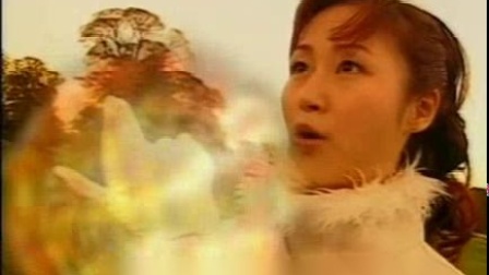 第628页