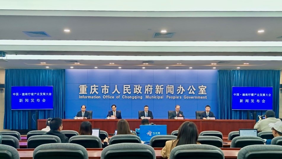 重庆潼南新闻速递，聚焦城市发展，深度探析城市观点