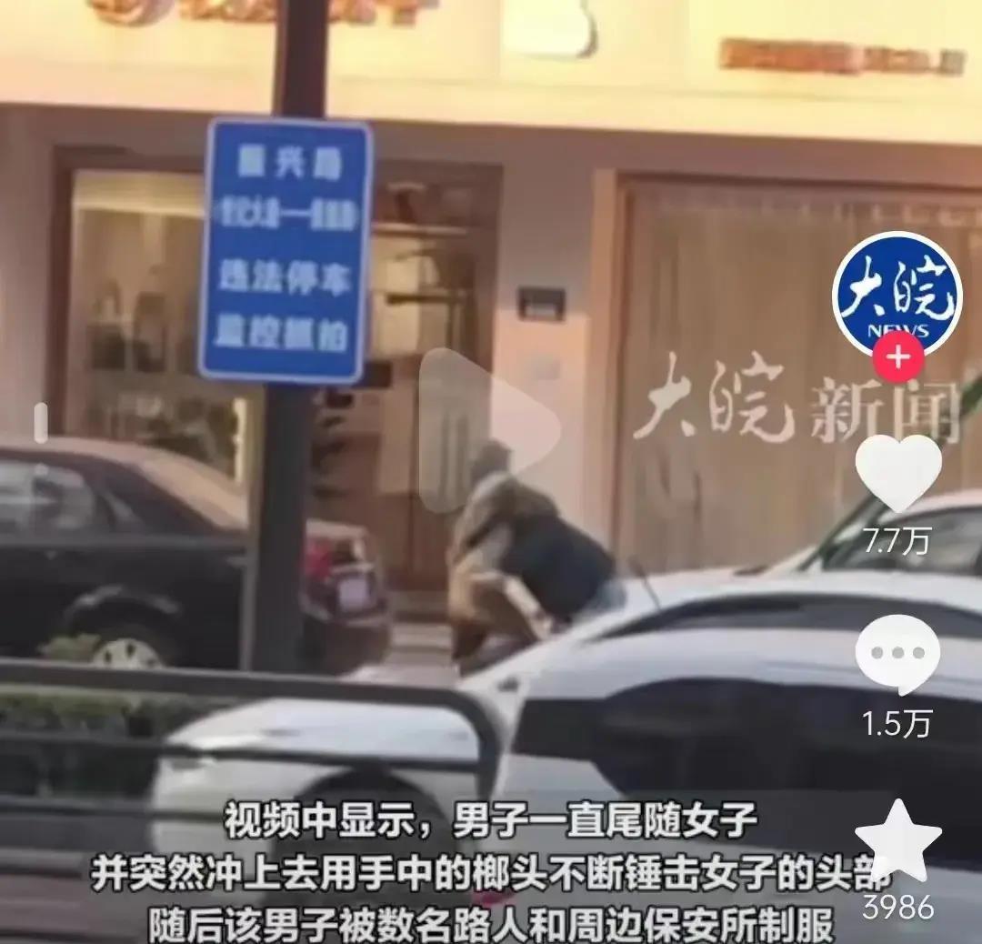 桐乡房产资讯详解，背景、发展、影响与地位