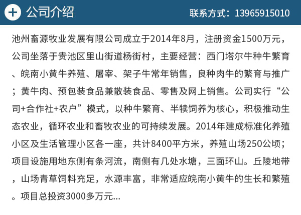 牛buy引领安徽科技革新，塑造未来生活潮流新动态