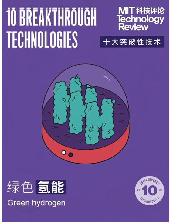 信托资讯速递，背景、发展与时代地位深度解析