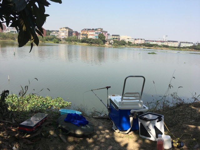 最新钓鱼场攻略指南，探索钓鱼技巧与秘籍