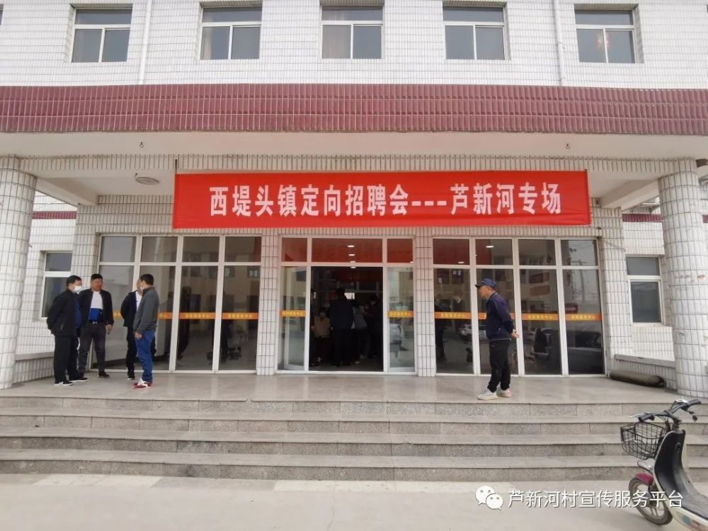 新河最新招聘信息发布