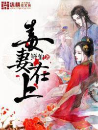 重生小说最新篇章，背景、事件、影响与时代地位全解析