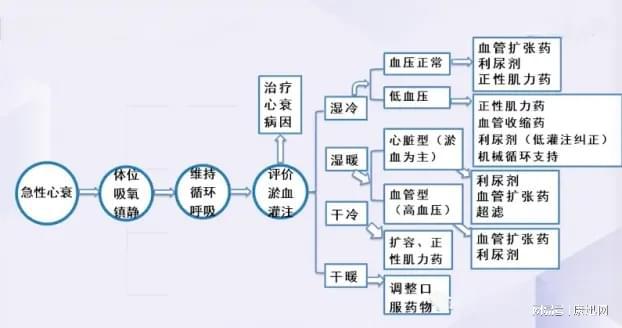 最新CPR操作流程，自然美景探索之旅的治愈之旅