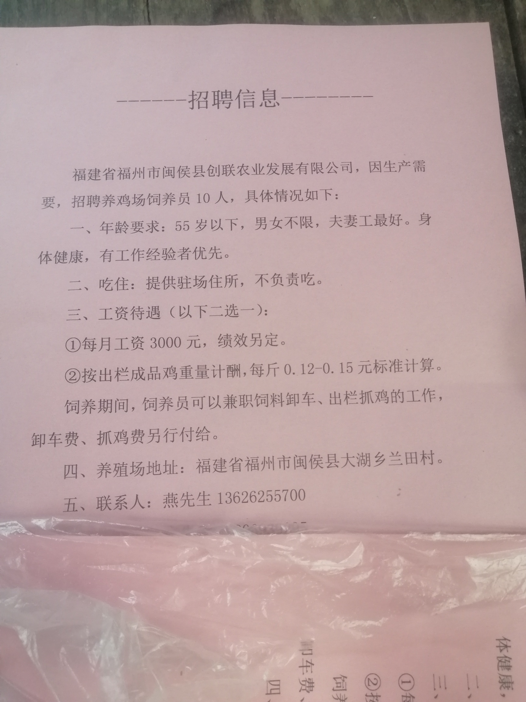 最新蛋鸡场招聘启事，职位空缺等你来挑战