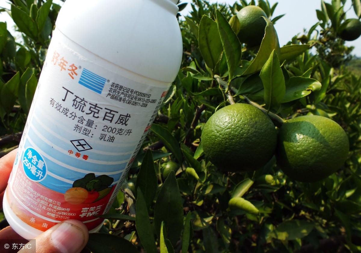 巴斯夫最新杀菌剂，引领农业新时代的先锋科技突破