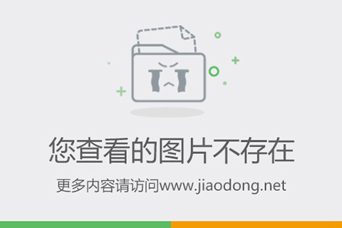 水貂皮最新价格动态，时尚界的璀璨新星闪耀登场