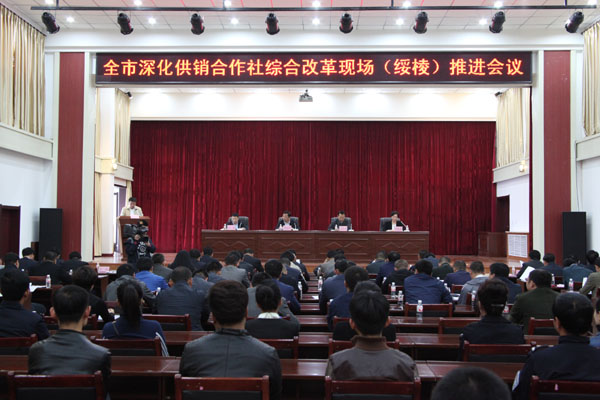供销社改革的最新动态与步骤指南