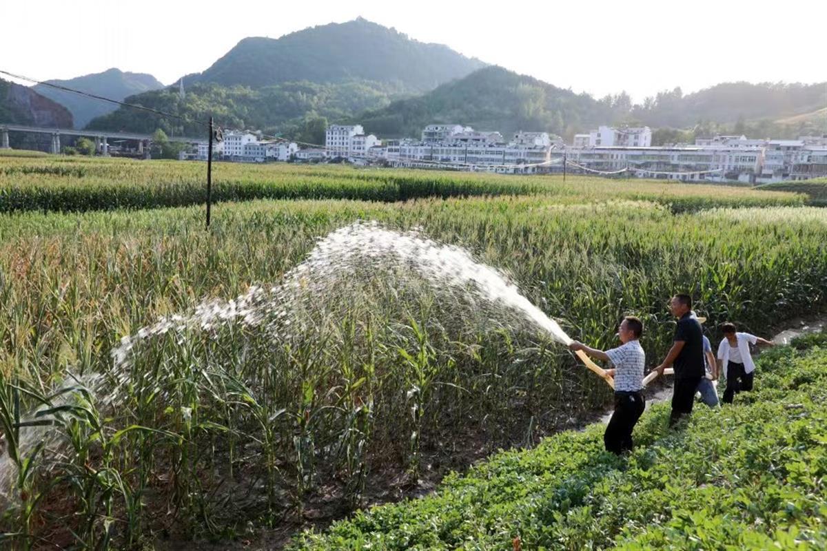 今日竹山新闻综述，最新消息全面解析