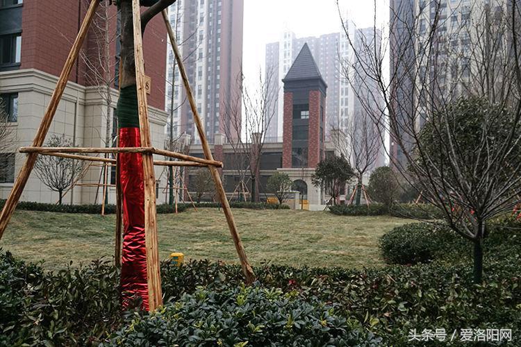 洛阳房产网最新楼盘信息，开启新生活之门