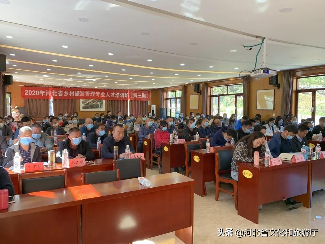 定州人才网最新招聘，友情纽带与梦想舞台的交汇点