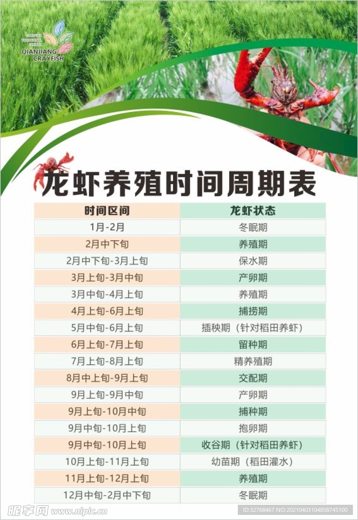 最新龙虾养殖秘籍揭秘，成为养殖达人不是梦！