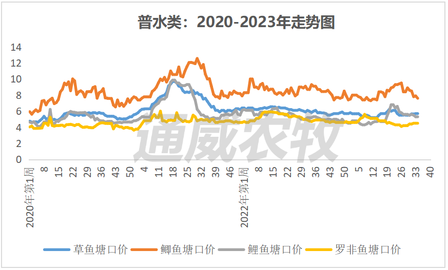 实用指南，获取并分析生鱼市场走势，掌握最新生鱼行情详解