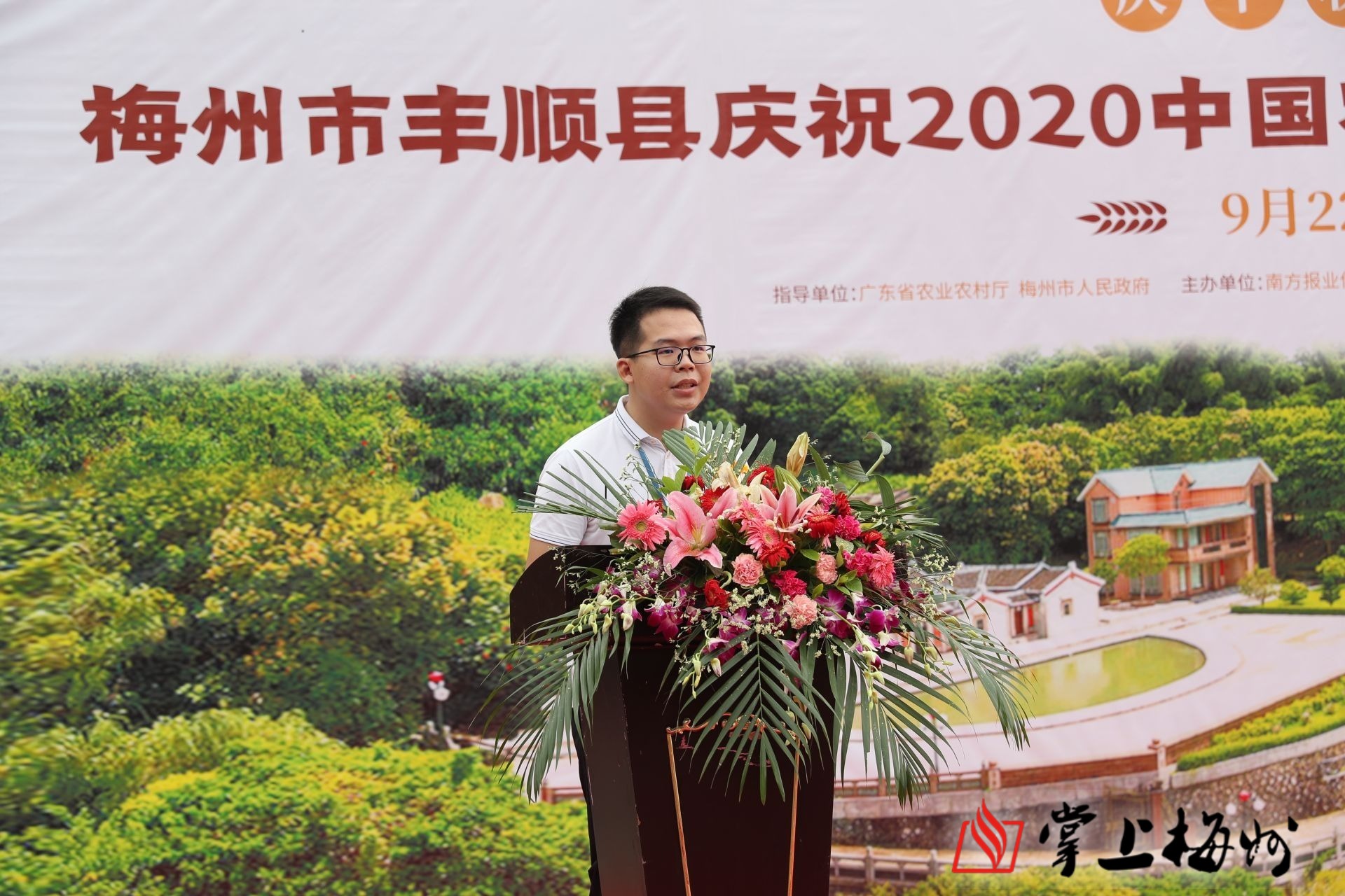 新丰新闻最新动态，探索自然美景之旅，寻找内心的平和之旅（2025年）