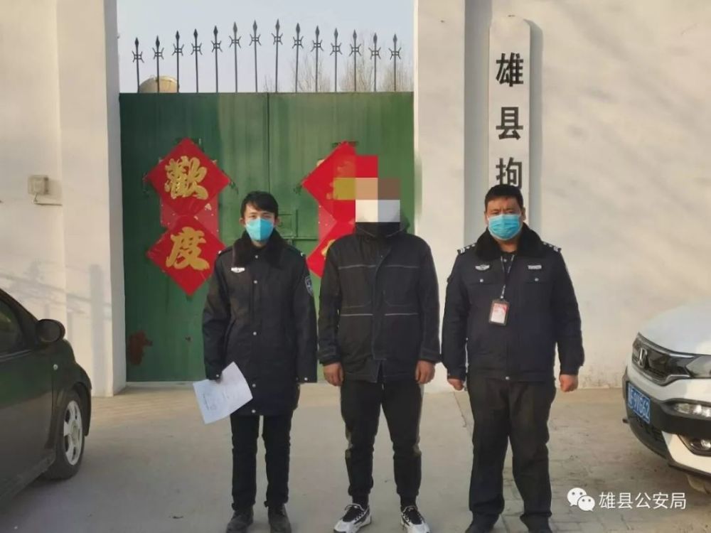 保定雄县新闻最新动态，蓄势待发全新篇章！