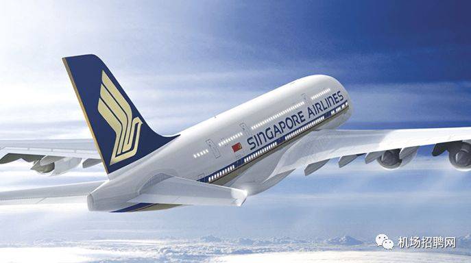 最新航空招聘与小巷中的隐藏宝藏，航空招聘与特色小店奇妙之旅