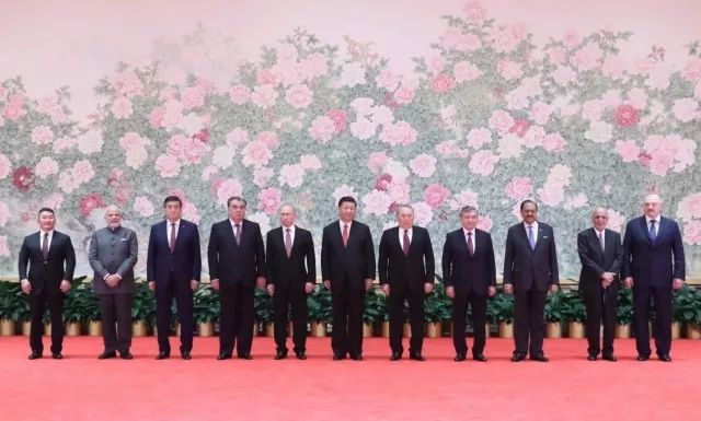 中国最新技能学习指南，vidsvidsvids入门与进阶全攻略（适合初学者与进阶用户）