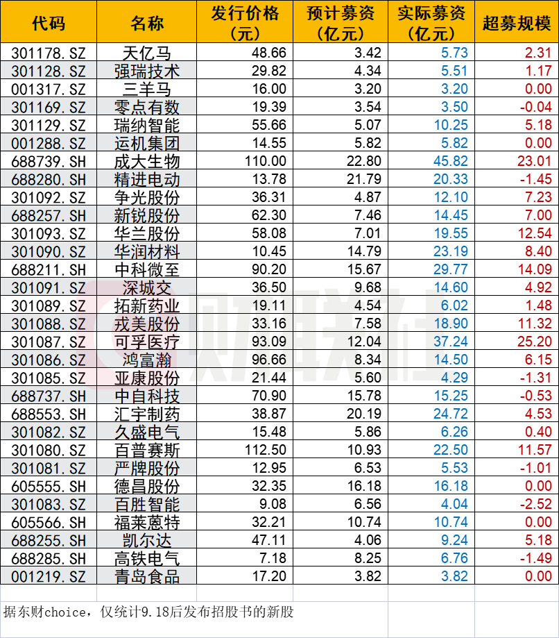 新股定价最新更新，巷弄深处的美食秘境探索揭秘
