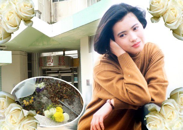 蓝洁瑛最新视频，科技与生活交织的别样风采