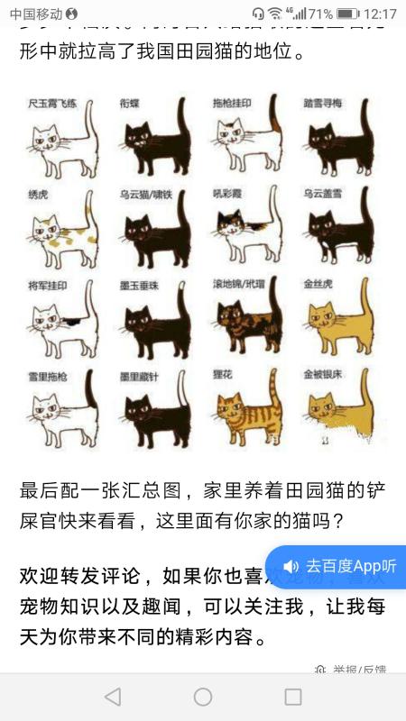 国民探花最新绿色之旅，寻找内心平静的启程
