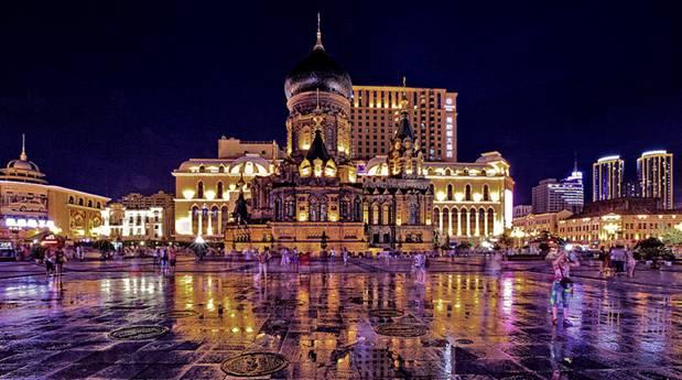 林园最新动向深度解析与观点阐述，最新动态及影响探讨