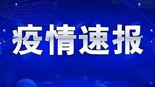 中国最新疫情动态，小城日常与温情纽带展现抗疫力量