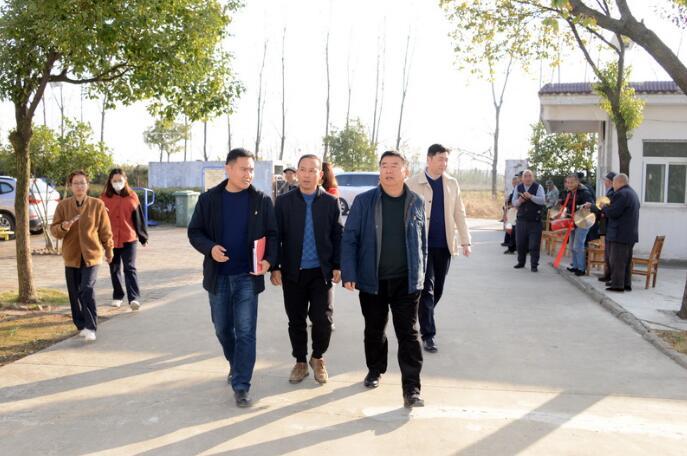 合肥长丰县，蓬勃发展的魅力之地最新资讯