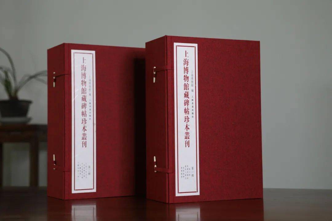 恽仁祥最新评论深度解读，洞察与观点分享