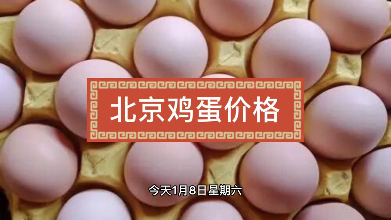 汽车饰品的销售 第183页