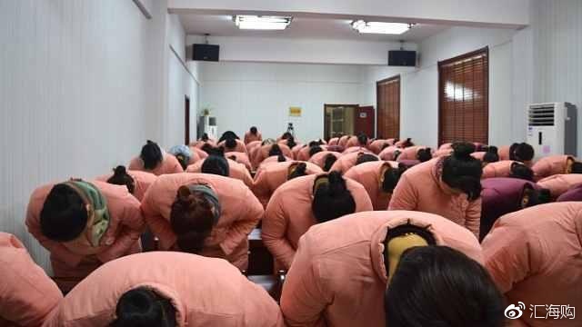抚顺女德班最新视频，自然美景之旅唤醒内心平静